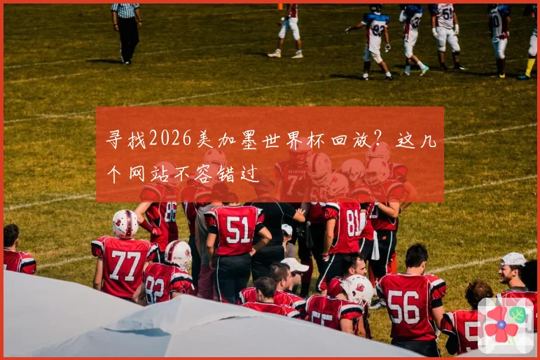 寻找2026美加墨世界杯回放?这几个网站不容错过