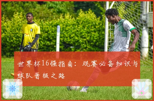 世界杯16强指南:观赛必备知识与球队晋级之路