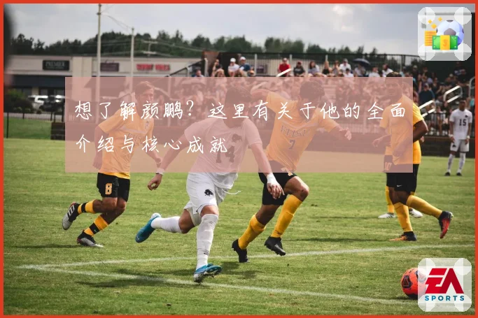 想了解颜鹏?这里有关于他的全面介绍与核心成就