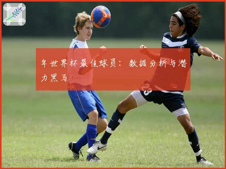 年世界杯最佳球员:数据分析与潜力黑马
